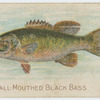 The small-mouthed black bass.