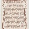 Armed-gurnard (Centropogon robustus).