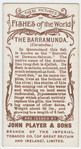 The barramunda (Ceratodus).