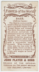 Bass (Labrax lupus).