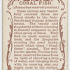 Coral fish (Heniochus macrole pidotus).