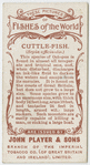 Cuttle-fish (Sepia officinalis).