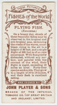 Flying fish (Exocœtus).
