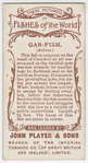 Gar-fish (Belone).