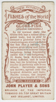 Globe-fish (Diodon maculatus).