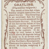 Grayling (Thymallus vulgaris).