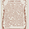 Lump fish (Cyclopterus lumpus).