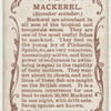 Mackerel (Scomber scomber).