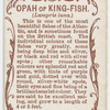 Opah or king-fish (Lampris luna).