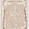 Parrot-fish (Scarus).