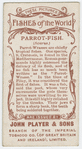 Parrot-fish (Scarus).