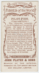 Pilot-fish (Naucrates ductor).