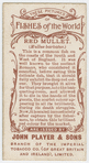 Red mullet (Mullus barbatus).