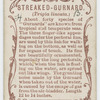 Streaked-gurnard (Trigla lineata).