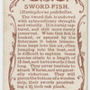 Sword-fish (Histiophorus pulchellus).