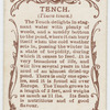 Tench (Tinca tinca).