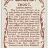 Trout (Salmo fario).