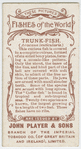 Trunk-fish (Avacana lenticularis).