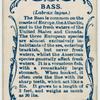 Bass (Labrax lupus).