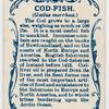 Cod-fish (Gadus morrhua).