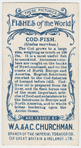 Cod-fish (Gadus morrhua).