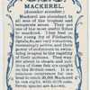 Mackerel (Scomber scomber).