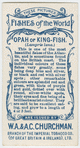 Opah or king-fish (Lampris luna).
