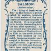 Salmon (Salmo salar).