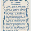 Salmon (Salmo salar).