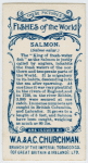 Salmon (Salmo salar).