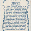 Trout (Salmo fario).