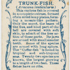 Trunk-fish (Avacana lenticularis).