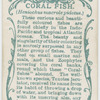 Coral fish (Heniochus macrole pidotus).