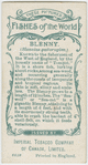 Blenny (Blennius gattorugine).