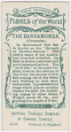 The barramunda (Ceratodus).