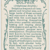 Dolphin (Delphinus delphis).