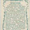 Weever (Trachinus draco).