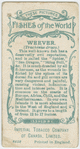 Weever (Trachinus draco).