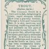 Trout (Salmo fario).