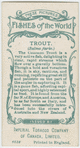 Trout (Salmo fario).