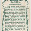 Barbel (Barbus vulgaris).