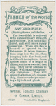 Sword-fish (Histiophorus pulchellus).