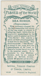 Sea-horse (Hippocampus).