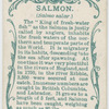 Salmon (Salmo salar).