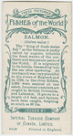 Salmon (Salmo salar).