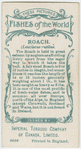 Roach (Leuciscus rutilus).