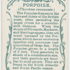 Porpoise (Phocœna communis).