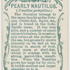 Pearly nautilus (Nautilus pompilius).
