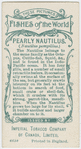 Pearly nautilus (Nautilus pompilius).