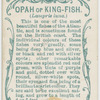 Opah or king-fish (Lampris luna).